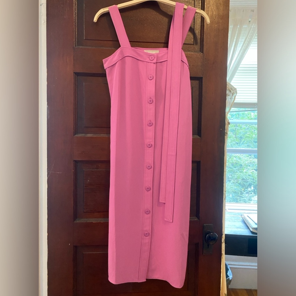 Everlane size 2 button down dress NWOT